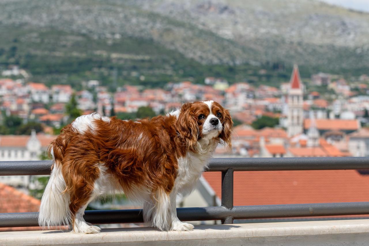 Apartments Kudelik Trogir Zewnętrze zdjęcie